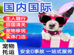 信阳明港航空货运国际宠物托运 【国